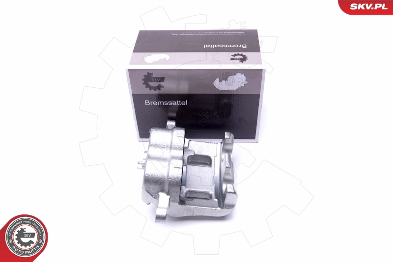 Brake Caliper